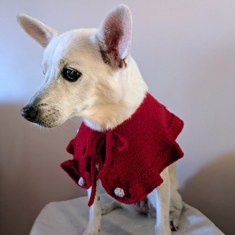 Dog pet handmade handknitted collar costume sweater M - Picture 3 of 11